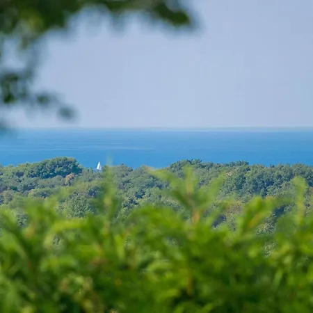 Bianchera ポレッチ